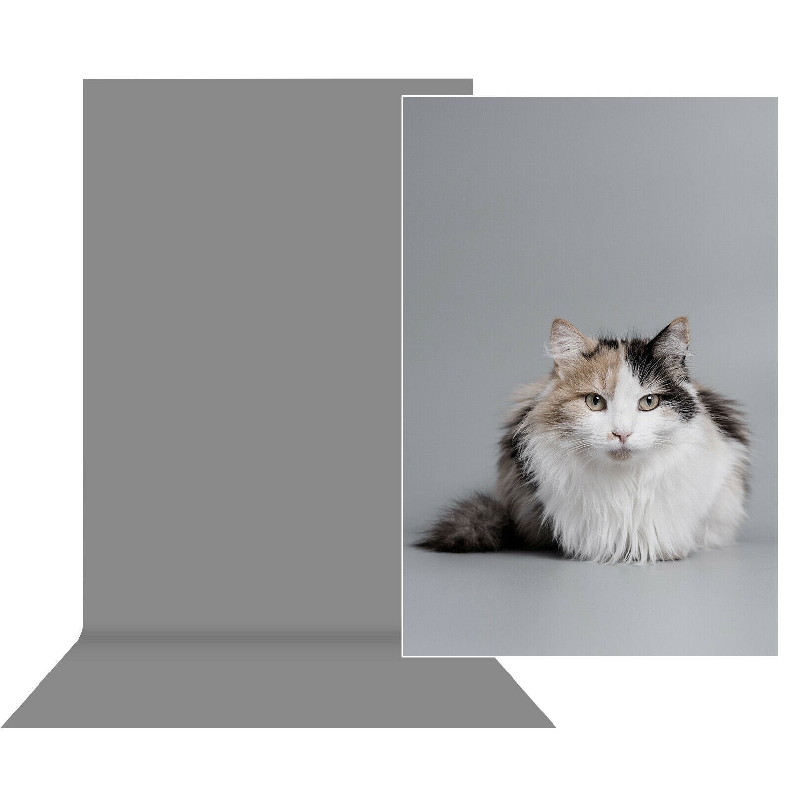 3.3′ x 6.6′ Grey Backdrop Background for Photography Seamless Photo Booth Screen