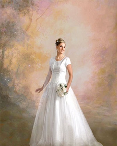 10’x20′ Muslin 100% Hand-Painted Dreamy abstract Background 46-547