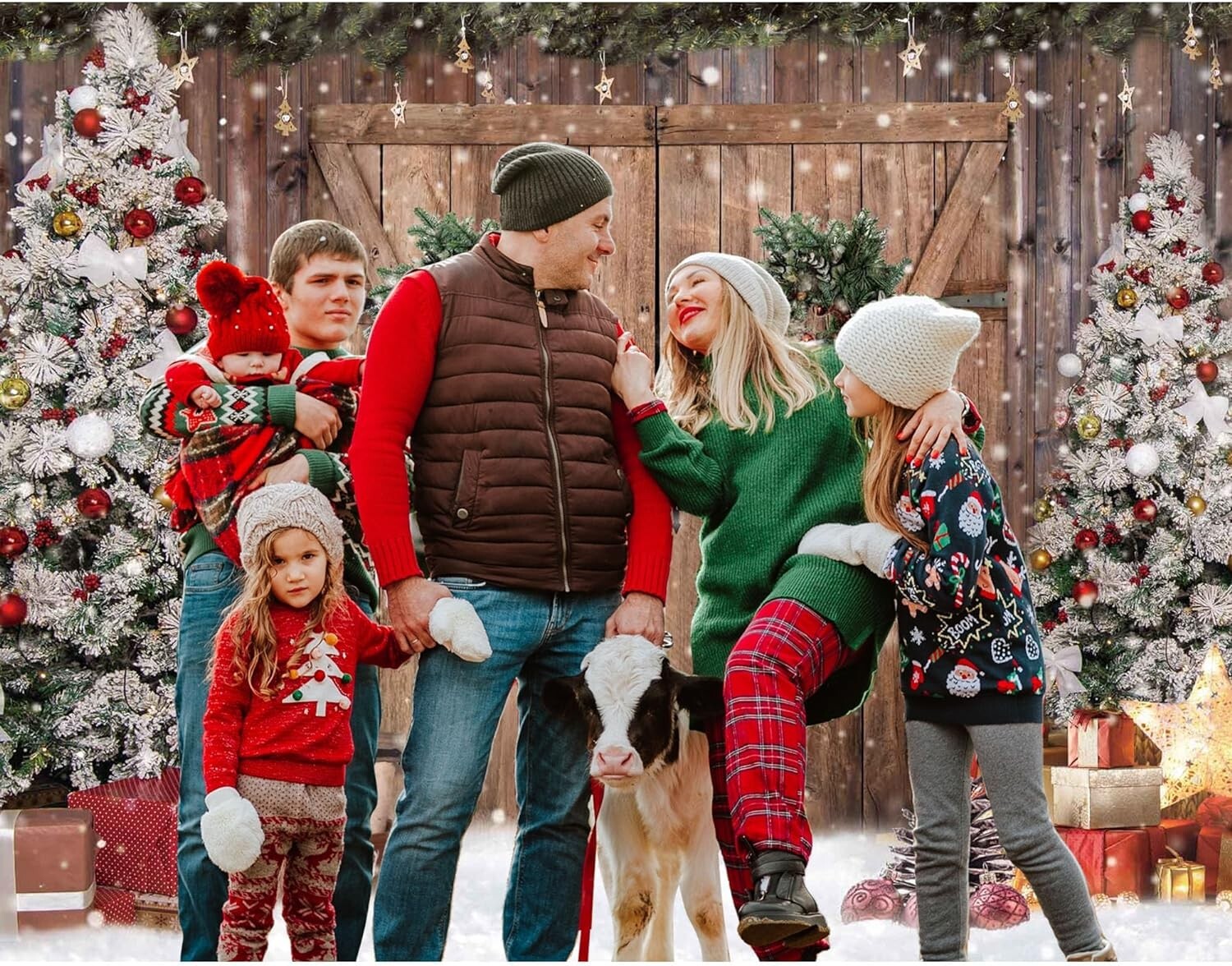 10x8FT Polyester Fabric Winter Christmas Rustic Barn Wood Door Photography Ba…