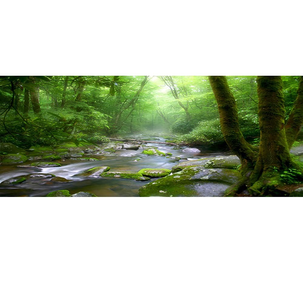 OERJU 36×14 inches Rainforest Terrarium Background – Deep 36x14in-P, Green