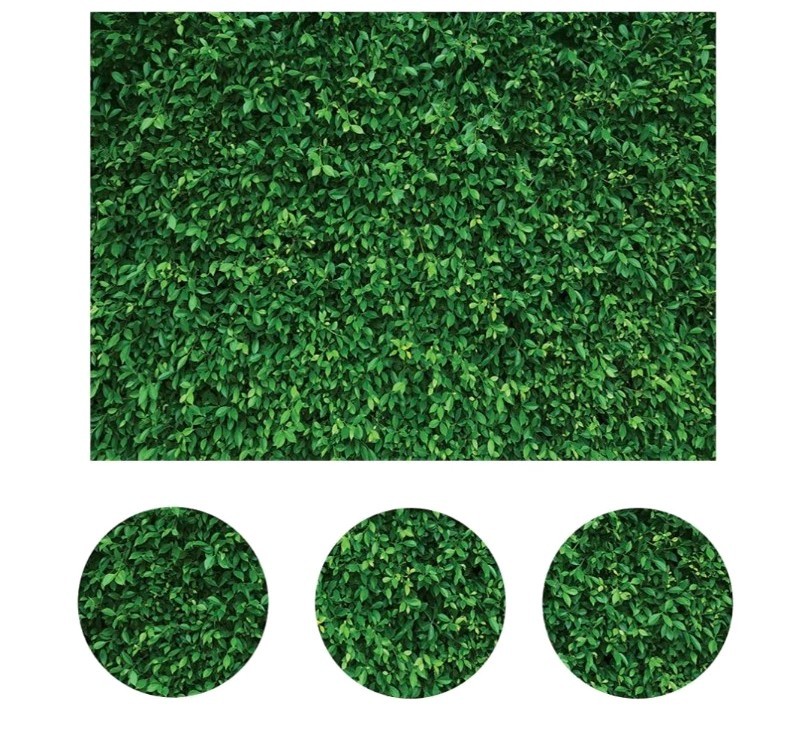 LYWYGG 8X8FT Green Leaves Photography Backdrops Mmicrofiber Nature