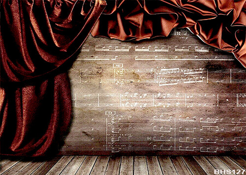 Stage 5’x7′ Computer/ Digital Scenic Vinyl Photo Background Backdrop BHS127