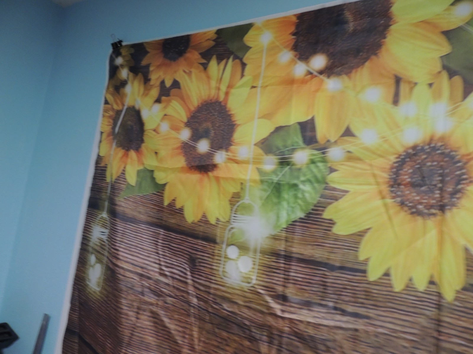 7 x 5 Photo Backdrop image sunflowers & Lights Yellow Brown Green