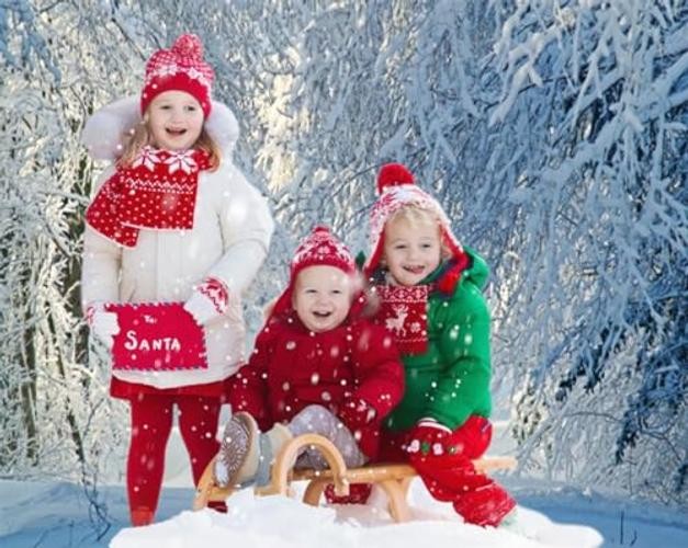 Snowy Forest Photo Background – Winter Wonderland Backdrop – 10x8ft Blue