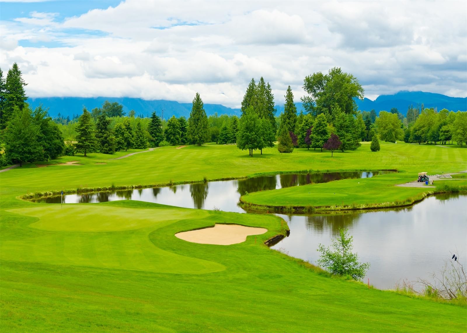 BELECO 8x6ft Fabric Golf Course Backdrop – Green Grass Lawn 8x6FT, A10957