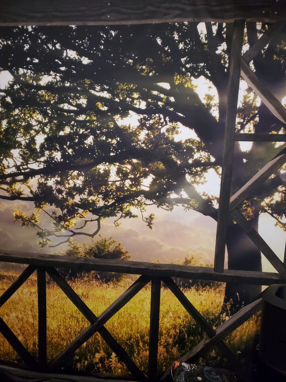 Beth Dutton Photography Backdrop 8 x 8