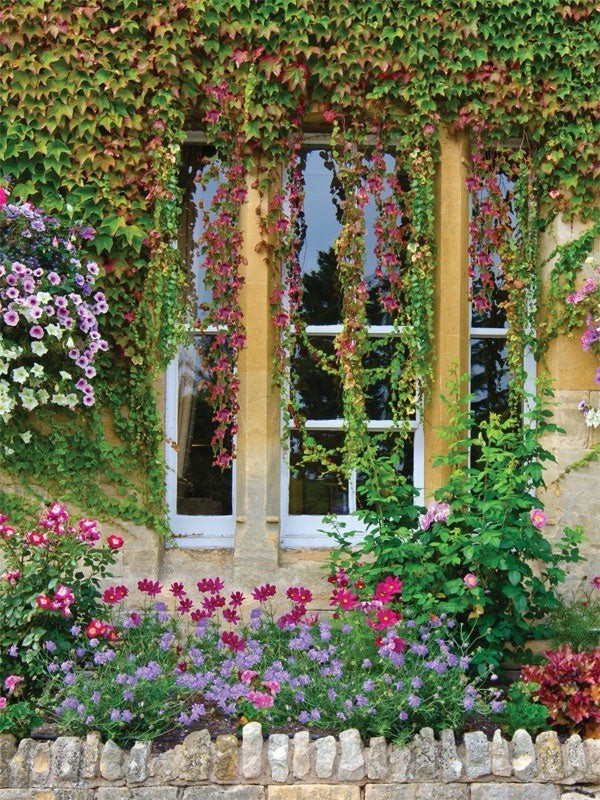 Garden Window Printed Photography Backdrop 8×8’