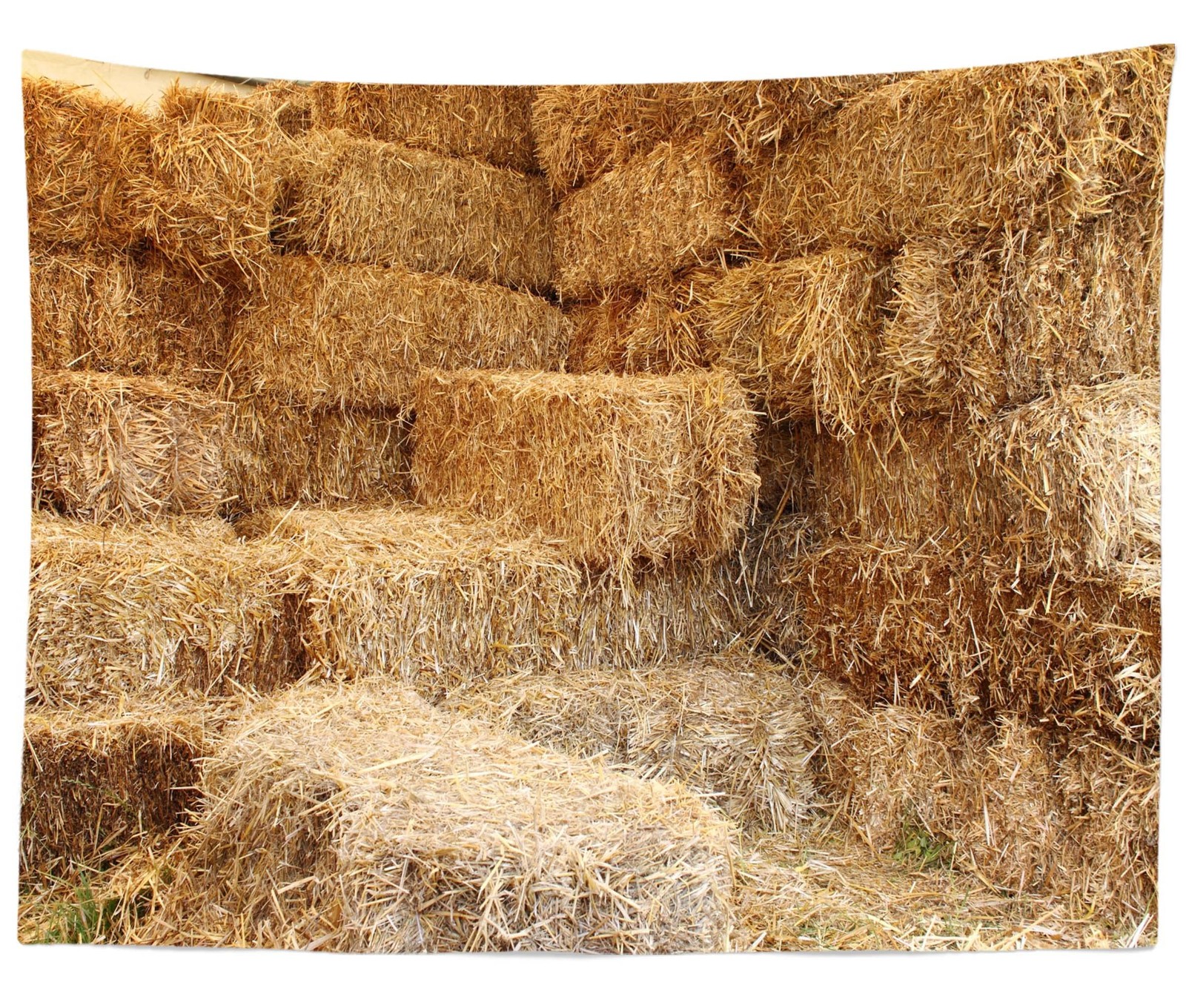 7x5ft Fabric Farm Haystack Photography Backdrop Autumn Fall Harvest Barn Decor