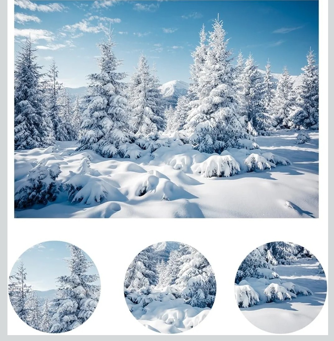 10x10Ft Winter Forest Snow Backdrop Outdoor White Snow Cover Pine Tree Photo