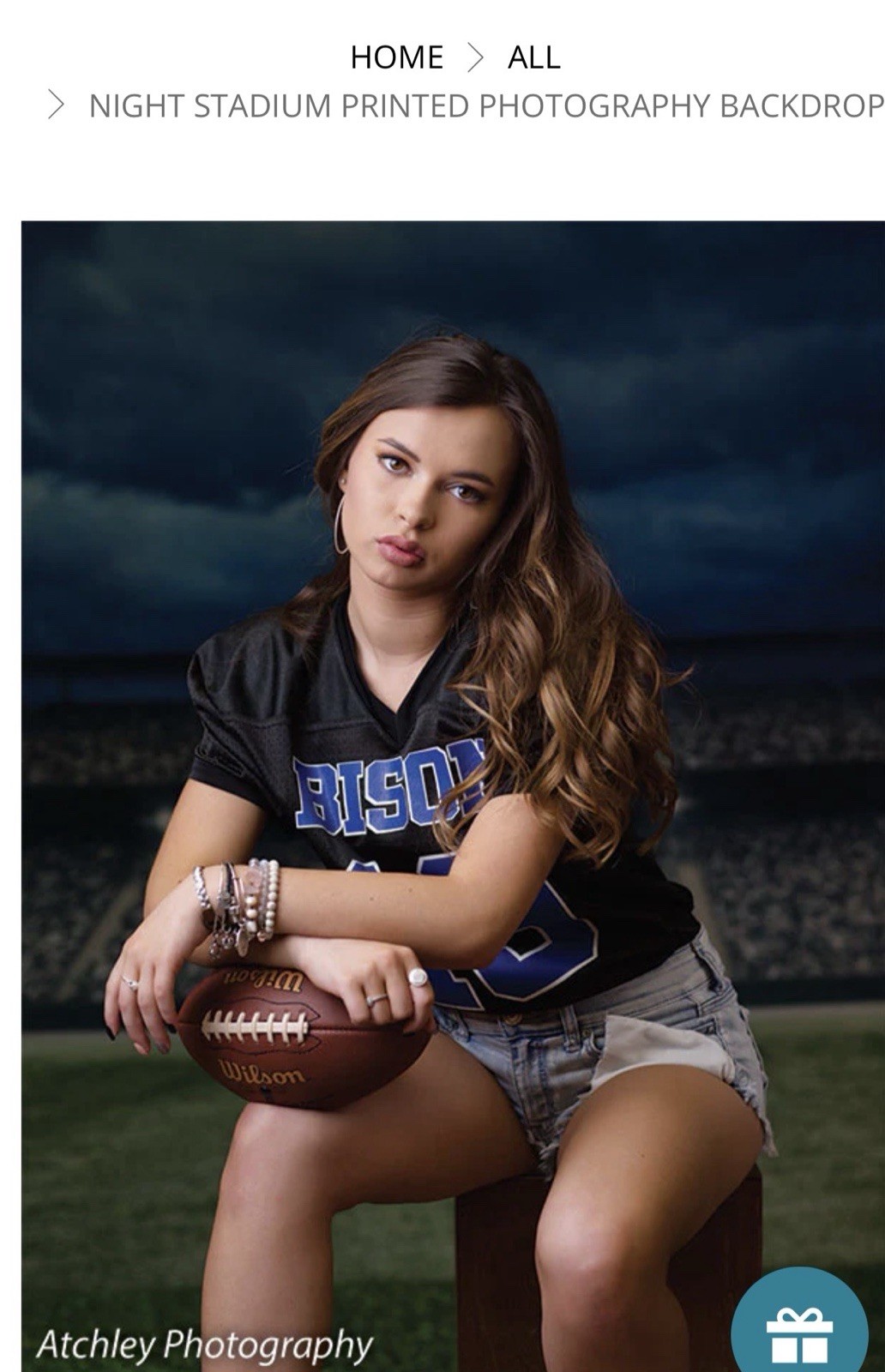 Denny Mfg. Night Stadium Printed Photography Backdrop 10×8 ft.