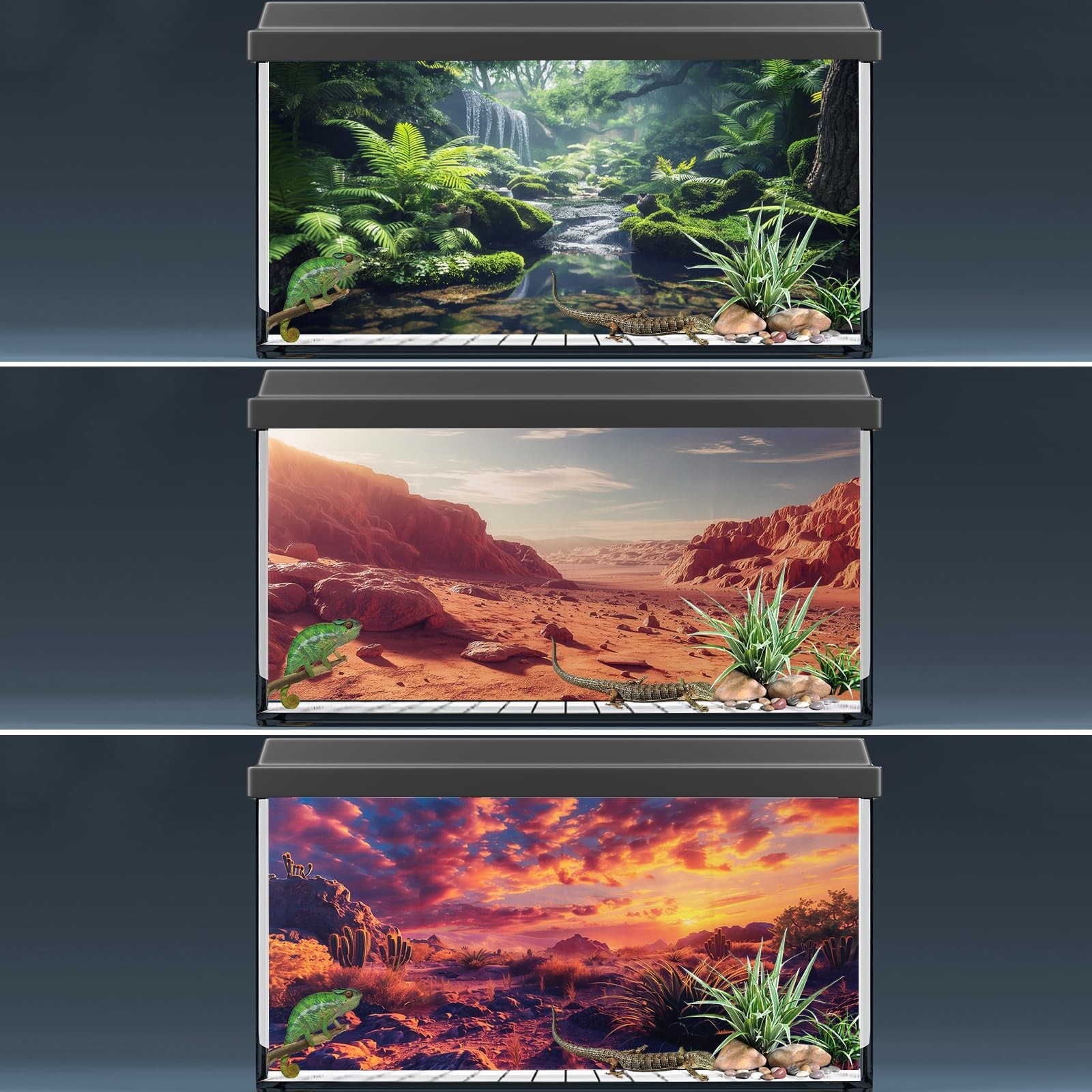 COMSUN 3 Pack Terrarium Background, 48×24 inches Inch, Multicolor