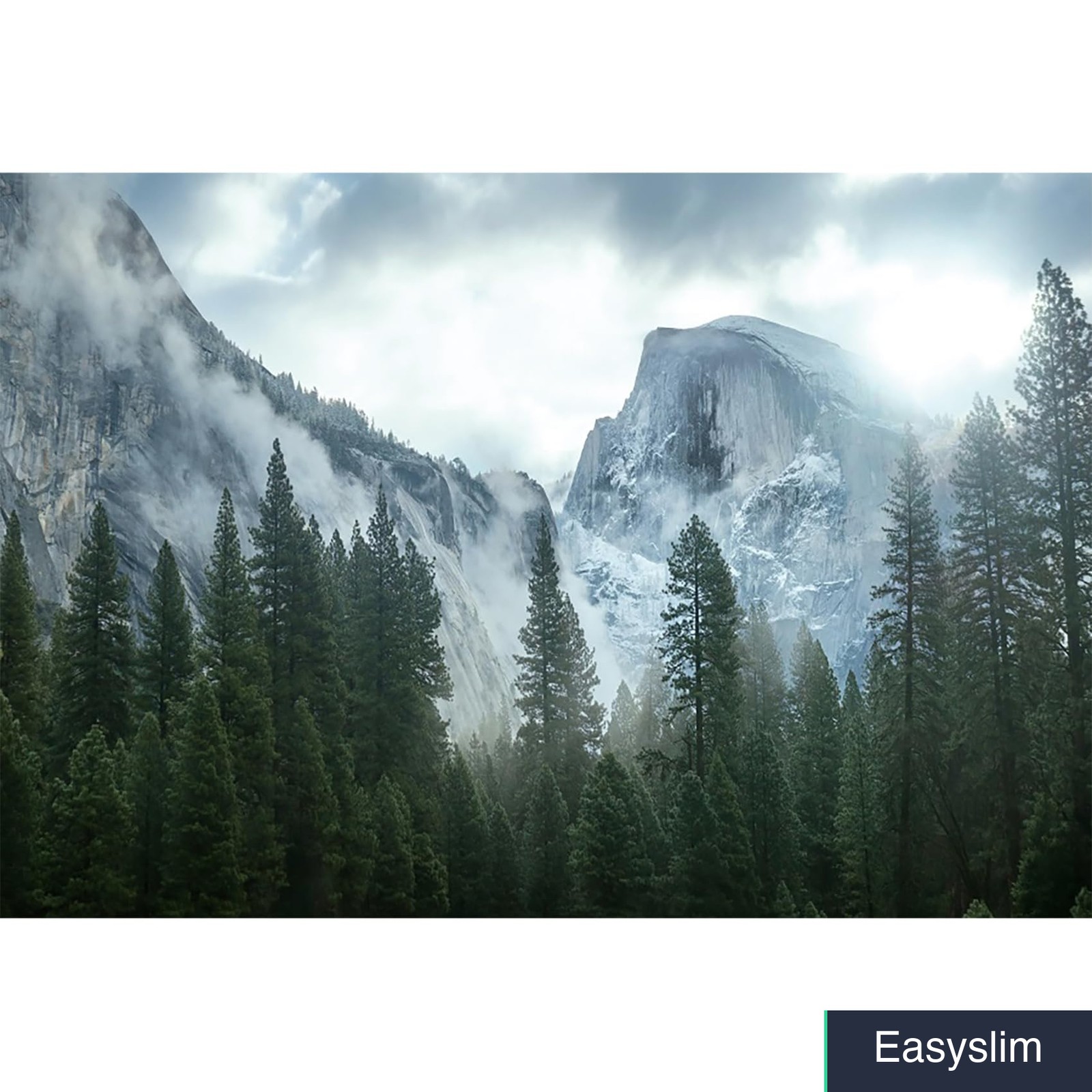 Photography Backdrop 7x5ft Forest Mountain Misty Vinyl Nature Scene