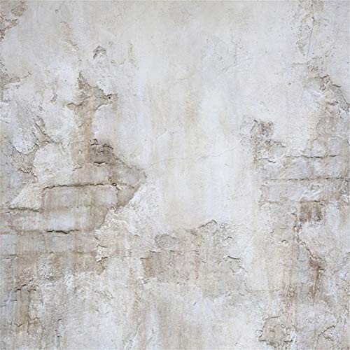 Rock Wall Photography Backdrop Stucco Wall Rock Backdrop Stone Brick 8x8ft
