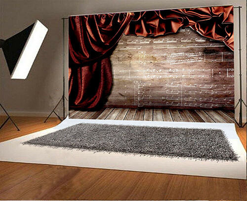 Stage 5’x7′ Computer/ Digital Scenic Vinyl Photo Background Backdrop BHS127