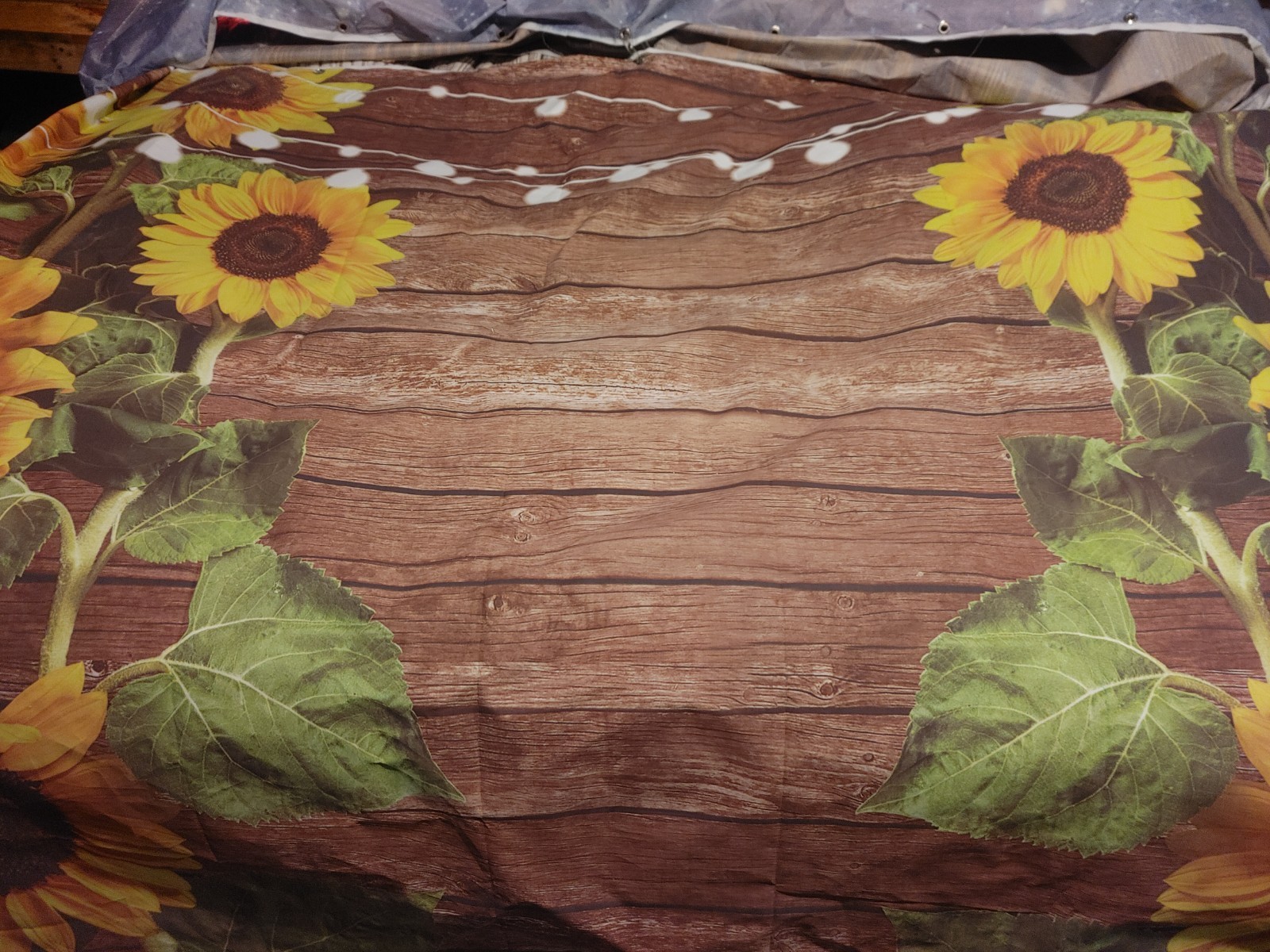 5×7 Ft Backdrop Lot Of 4 Backgrounds Green Screen Wood Sunflower Lights Studio