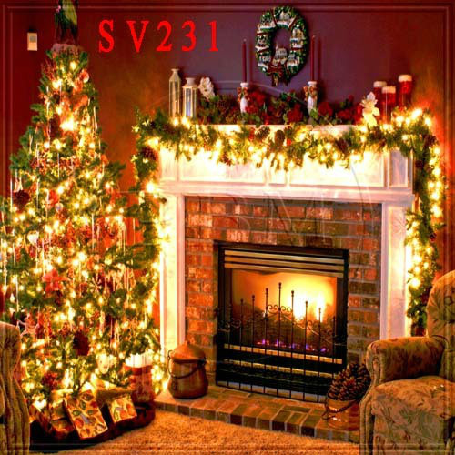 Christmas 10’x10′ Computer-painted Indoor Scenic background backdrop SV231B881