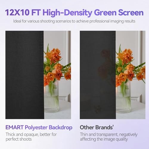 8.5 x 10 ft Adjustable Photo 8.5*10ft Backdrop Stand Black(10*12ft Backdrop)