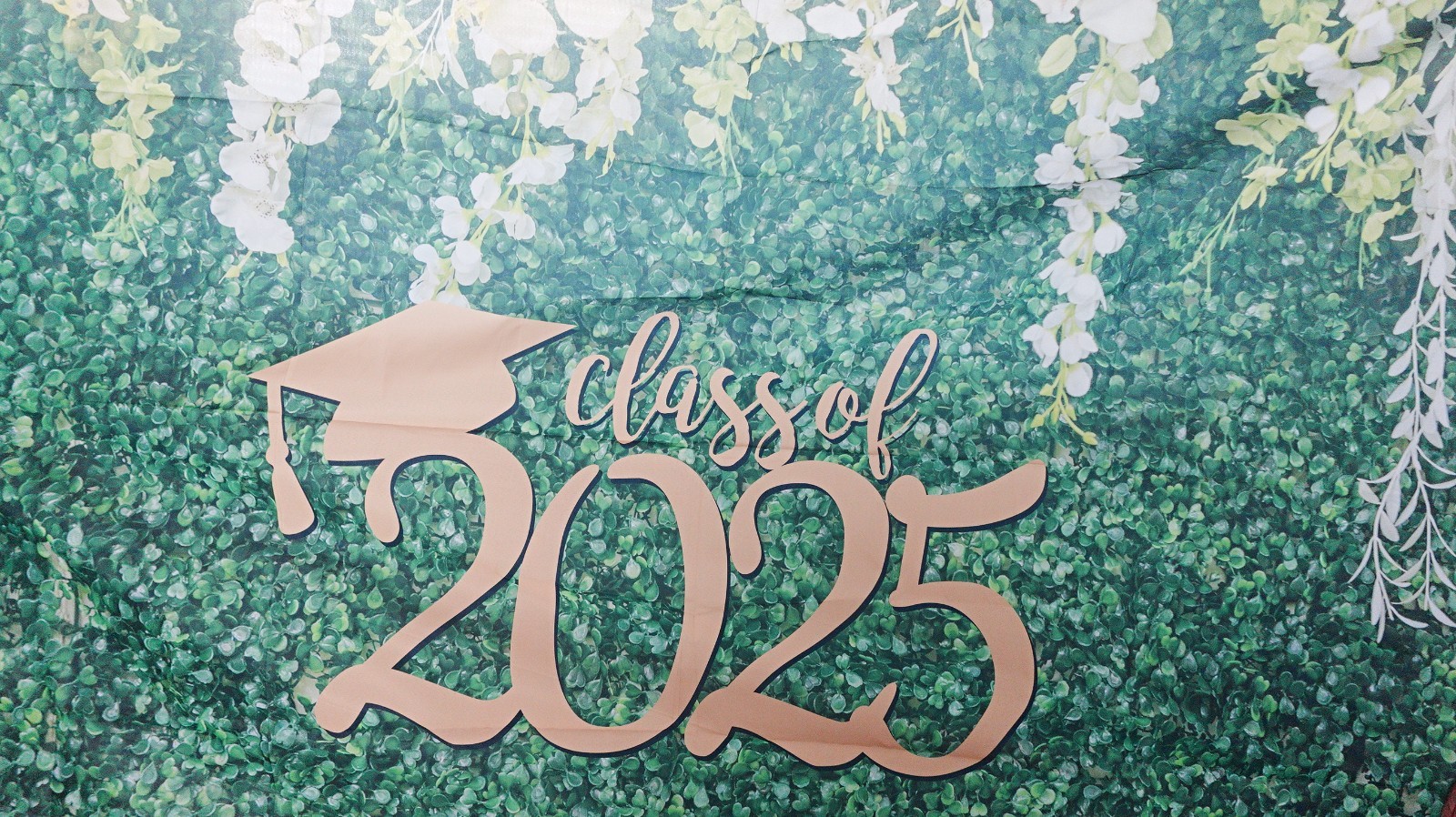 Mocsicka Class 2025 Graduation Reunion Backdrop Green Leaves Party Decor PROPS