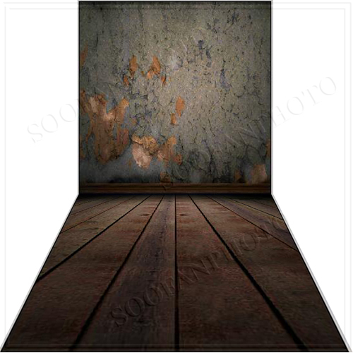 Indoor 10’x20’Computer/Digital Vinyl Scenic Photo Backdrop Background SZ615B88