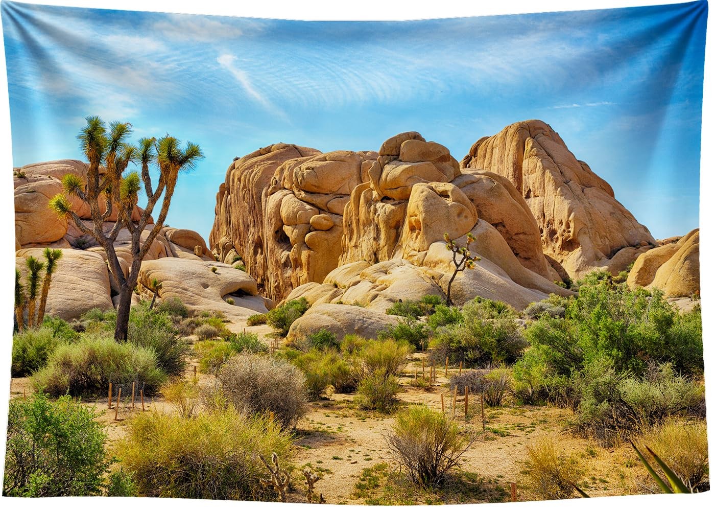 7x5FT Desert Backdrop Odd Trees Rocky Mountains Cactus Natural Beautiful Scenery