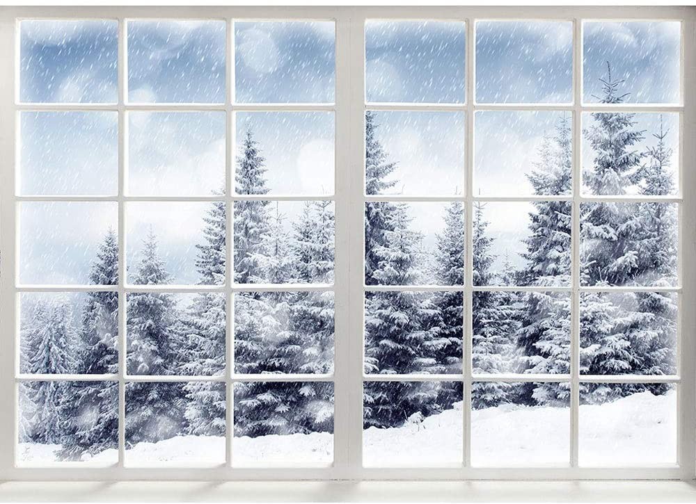 10×6.5ft Winter Forest Window Backdrop, Christmas Photography Props, Wonderland