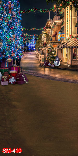 Christmas10’x20’Computer/Digital Vinyl Scenic Photo Backdrop Background SM410B88