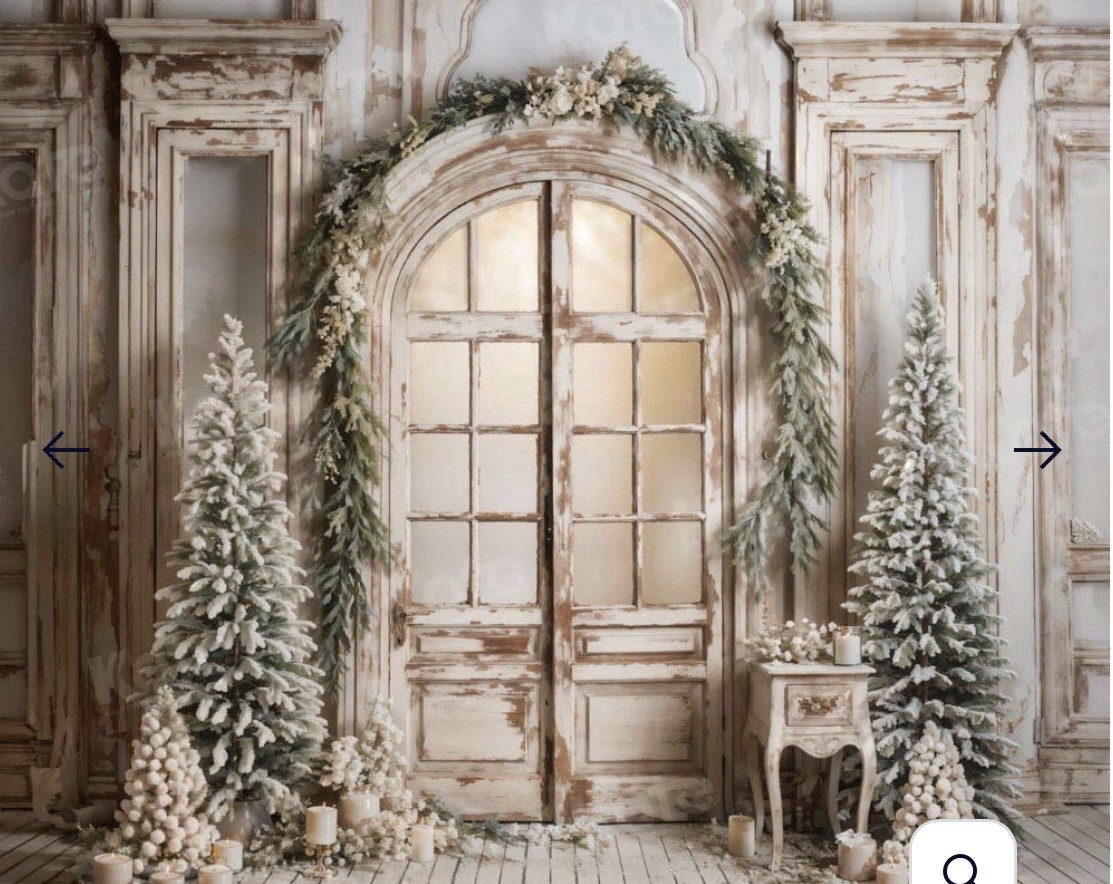 Winter/Snow Photo Studio Backdrop Background, Rustic Door & Trees 10×8