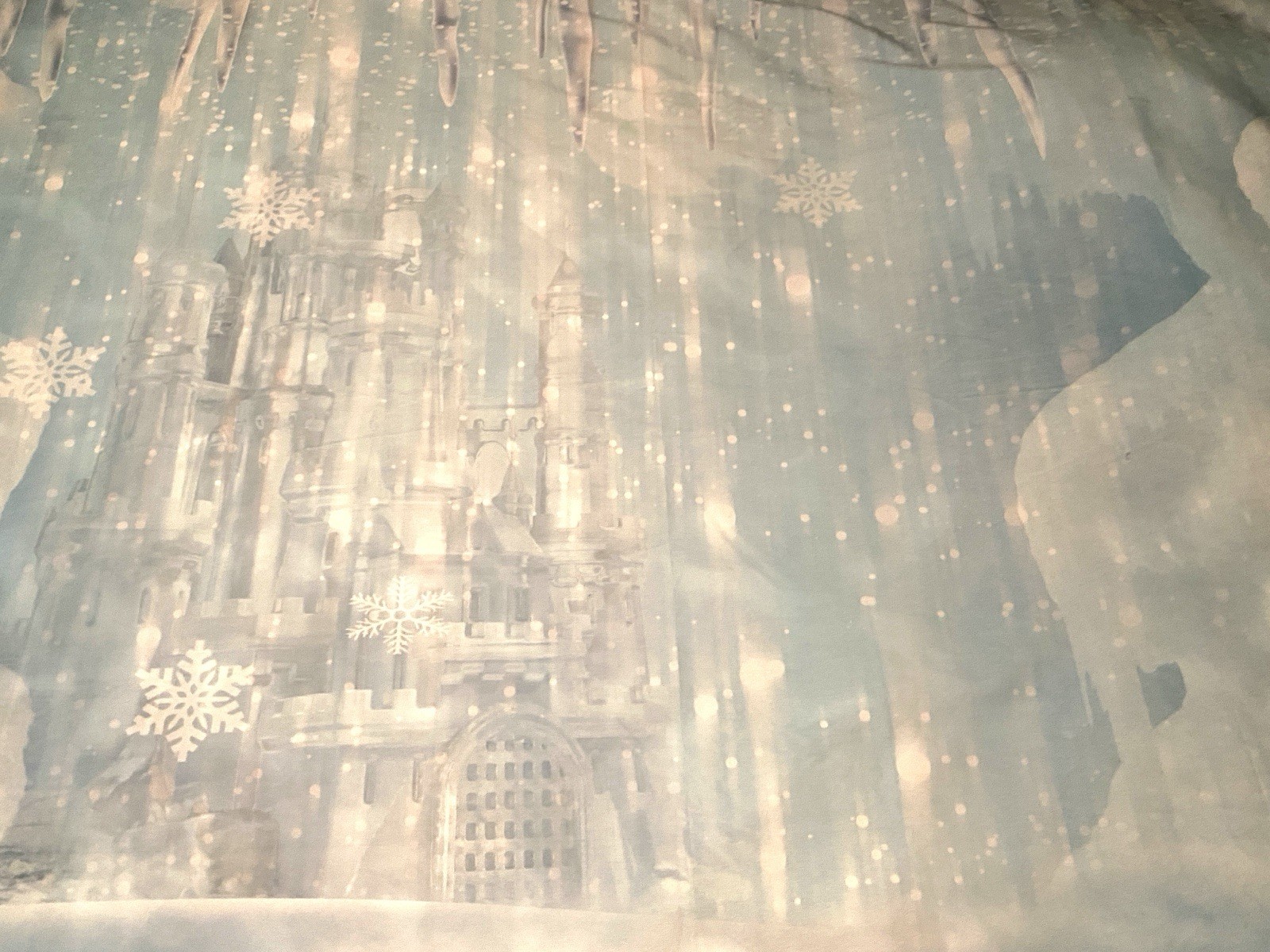 Disney Frozen Winter Christmas Photography Camera Photo Backdrop Background 7X5