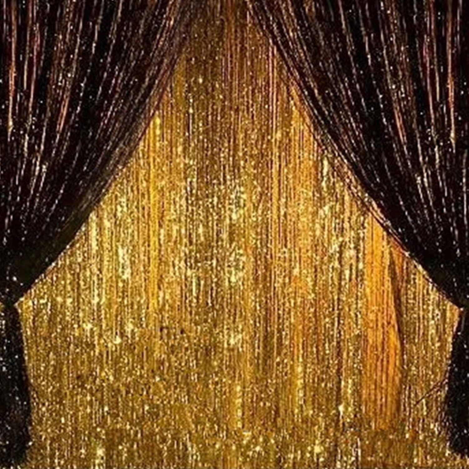 Black and Gold Tinsel Foil Fringe Curtains for New Year’s, Halloween, Graduation