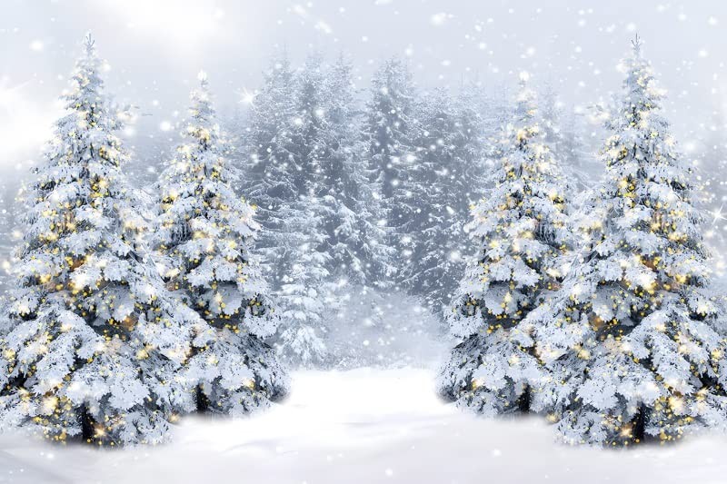 Winter Wonderland Forest Backdrop 10x8ft Fabric Christmas Snowflakes Birthday…