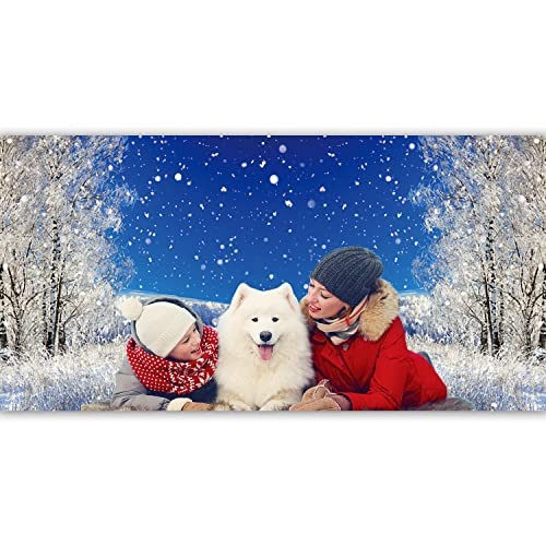 20x10ft Dreamy Forest Snowflake Background Winter Alps Snowy Landscape
