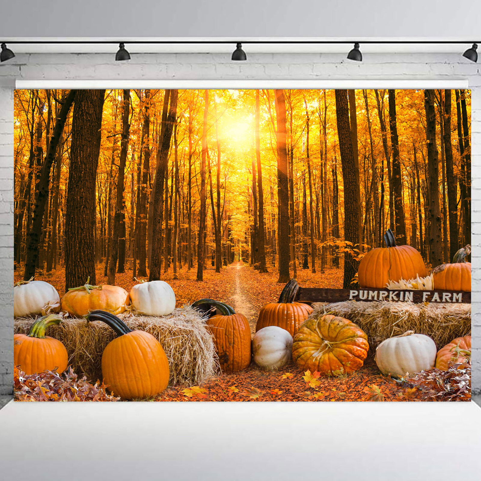 10x8ft Sunset Landscape Orange Pumpkin Fall ForestPhoto Background Studio Props