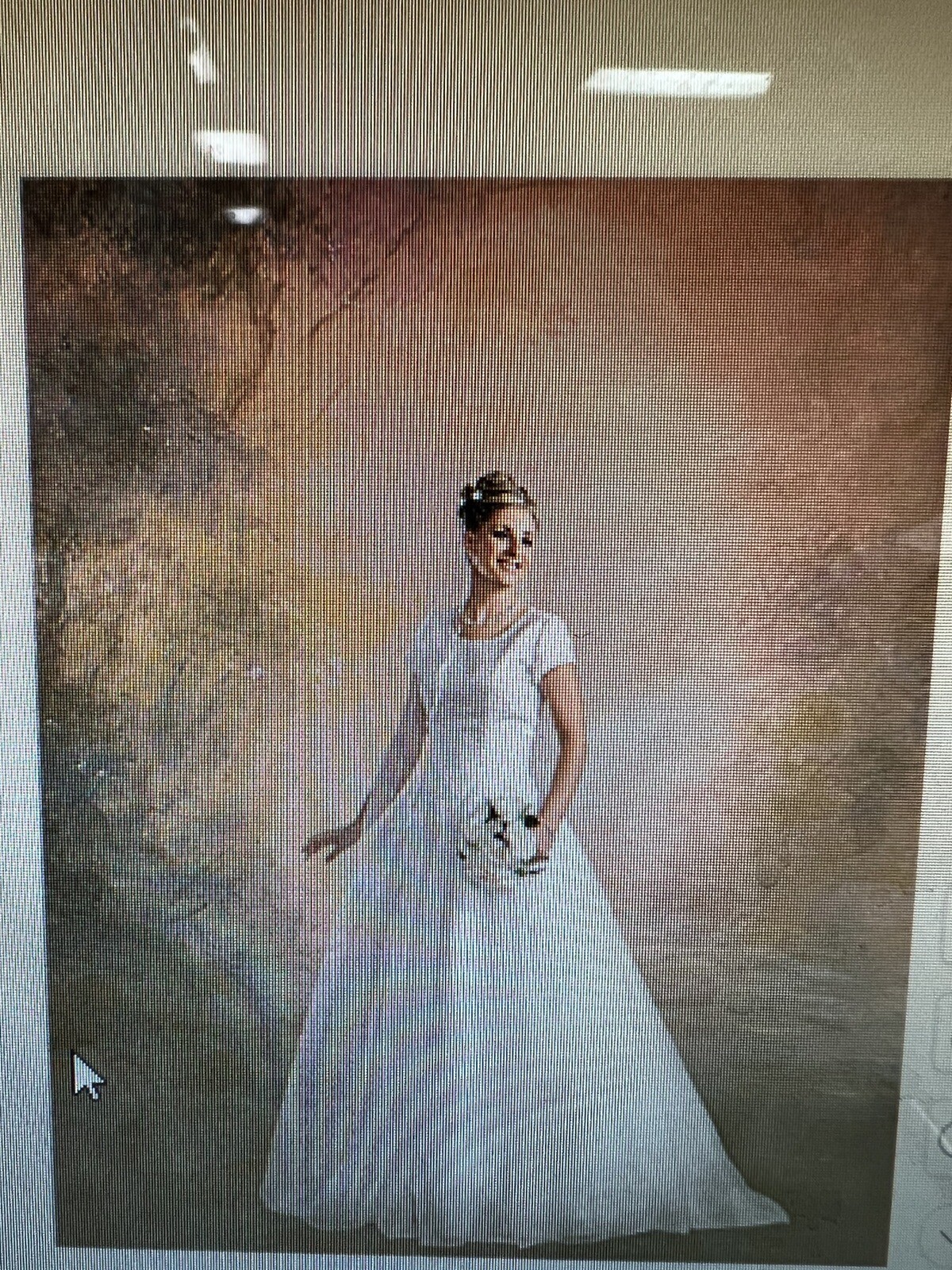 10*20 Ft Muslin 100% Airbrush Painted Vintage Photo Backdrop Background 42-391