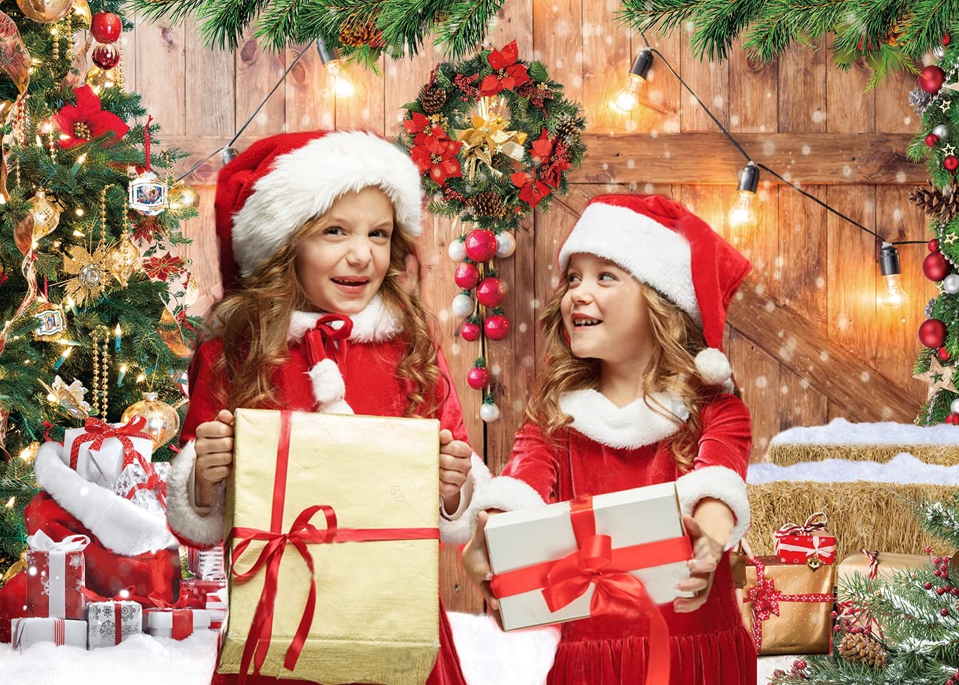 CYLYH 7x5FT Christmas Barn Wood Door Photography Backdrop Xmas Multicolor