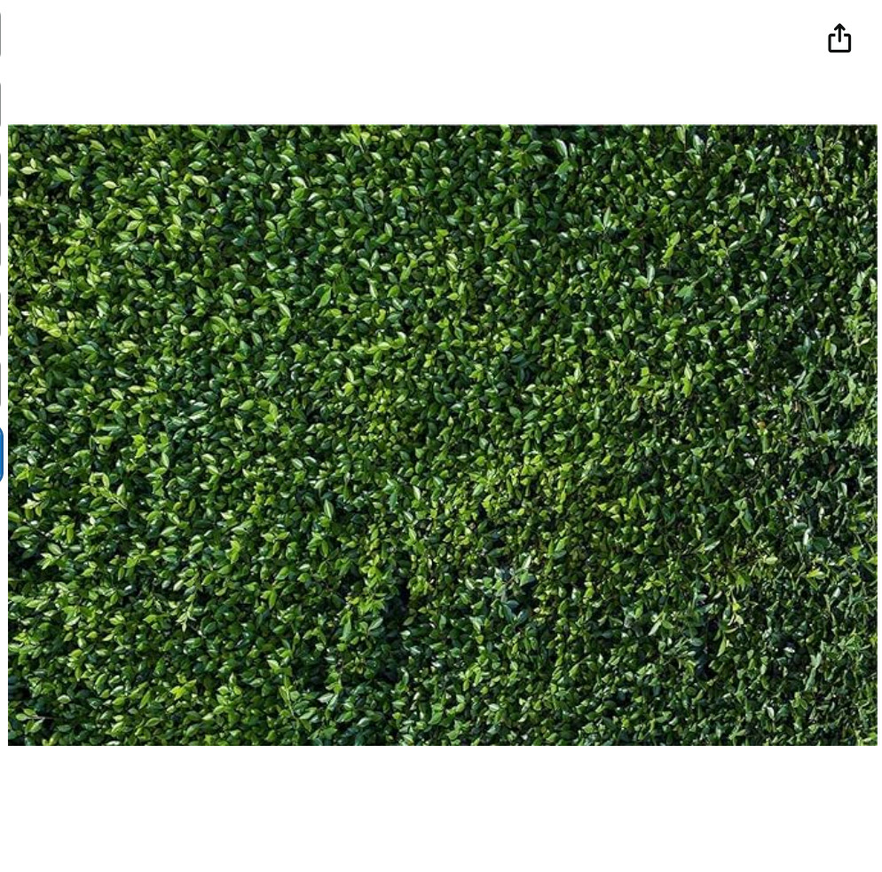 HQM 7x5FT Nature Spring 3D Green Leaves Theme Photo Background Wedding 7×5 FT