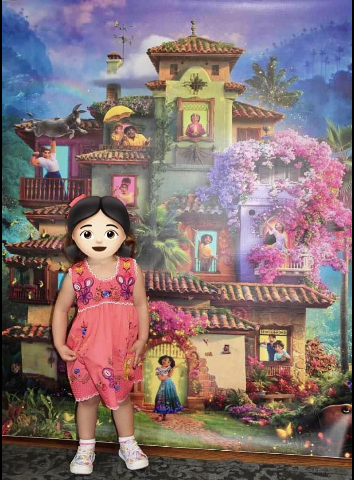 60”x60” Disney Encanto Canvas Backdrop/Banner – Slightly Used Condition