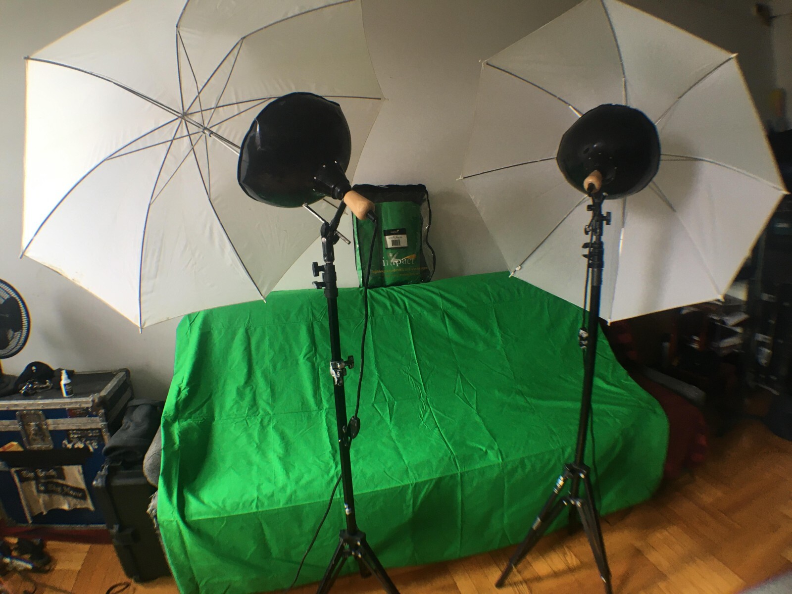 Impact Chroma Sheet Background – 10 x 24′ (Chroma Green)