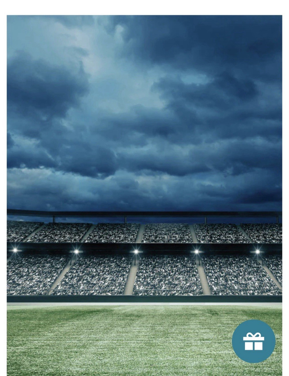 Denny Mfg. Night Stadium Printed Photography Backdrop 10×8 ft.