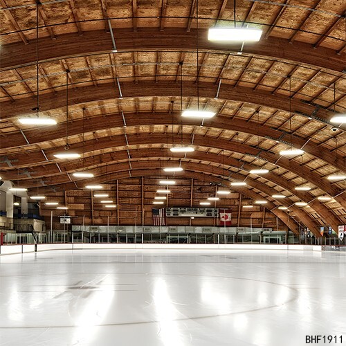 10’x10’CP Hockey Place Hall Scenic Microfiber Fabric background backdrop BHF1911