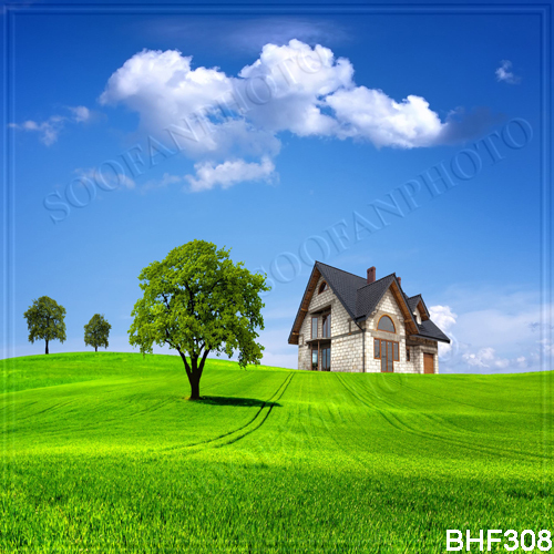 Spring 10’x10′ Computer-painted/Digital Scenic Photo Background Backdrop BHF308