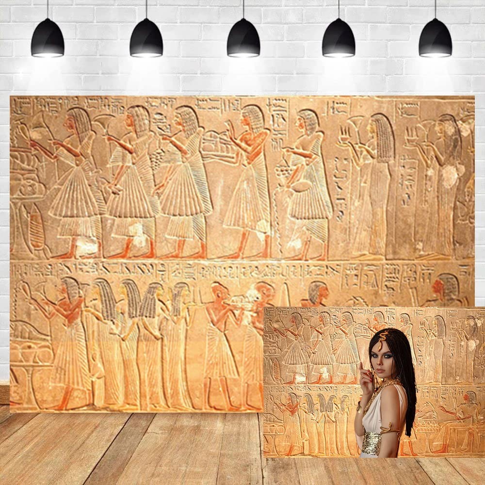 OERJU 10×6.5ft Old Egypt Hieroglyphs Photography Backdrop 10×6.5ft, Brown