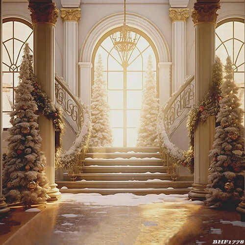 10’x10’CP Christmas Season Scenic Microfiber Fabric background backdrop BHF1778