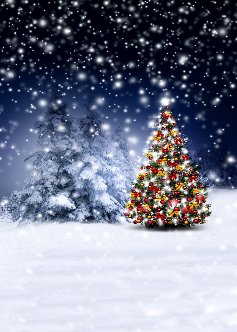 90*150cm Winter Snow Christmas Xmas Photography Backdrop Background Props