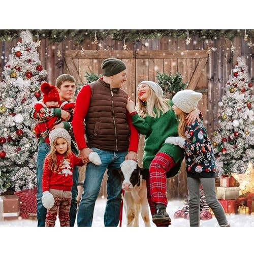 10x8FT Polyester Fabric Winter Christmas Rustic Barn Wood Door Photography