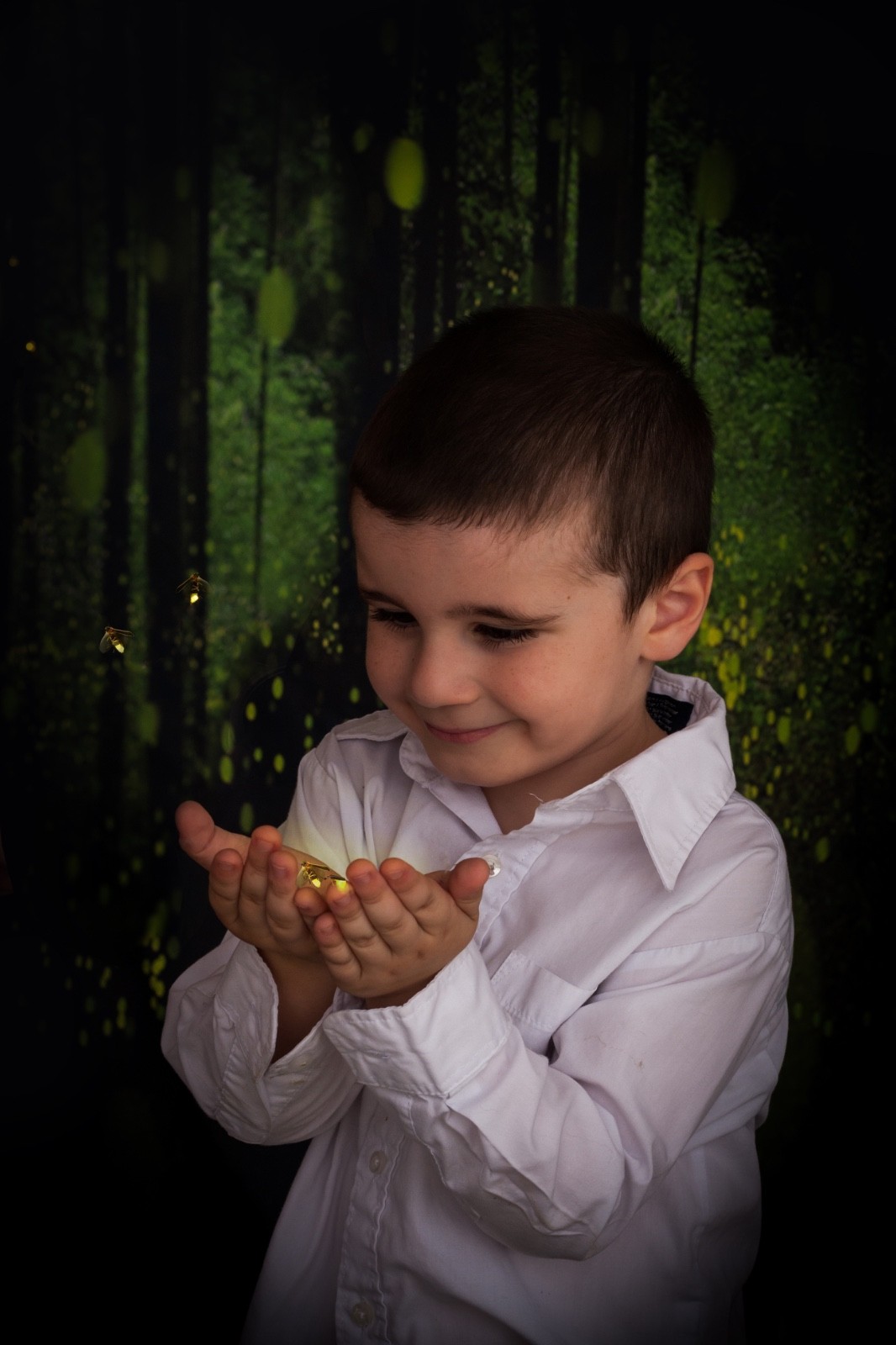 5×7′ Firefly Forest Photography Backdrop | Fairy Fantasy Photo Background