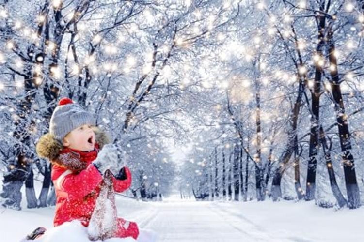 Winter Backdrop Wonderland White Snowy Forest Glitter Trees for 7x5ft