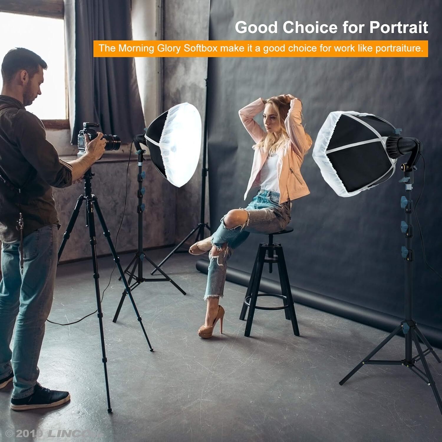LINCO Photo Softbox Studio Light Backdrop Stand Background Backdrops Support