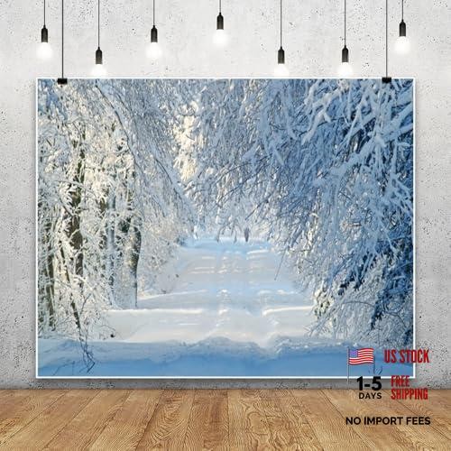 Snowy Forest Photo Background – Winter Wonderland Backdrop – 10x8ft Blue