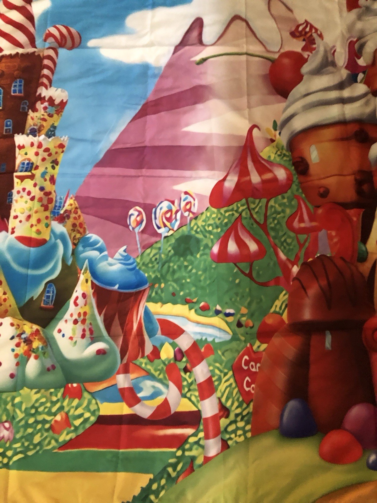 Candyland Backdrop Lollipop Sweetest Candy Theme Birthday Party 82 In x 58 In