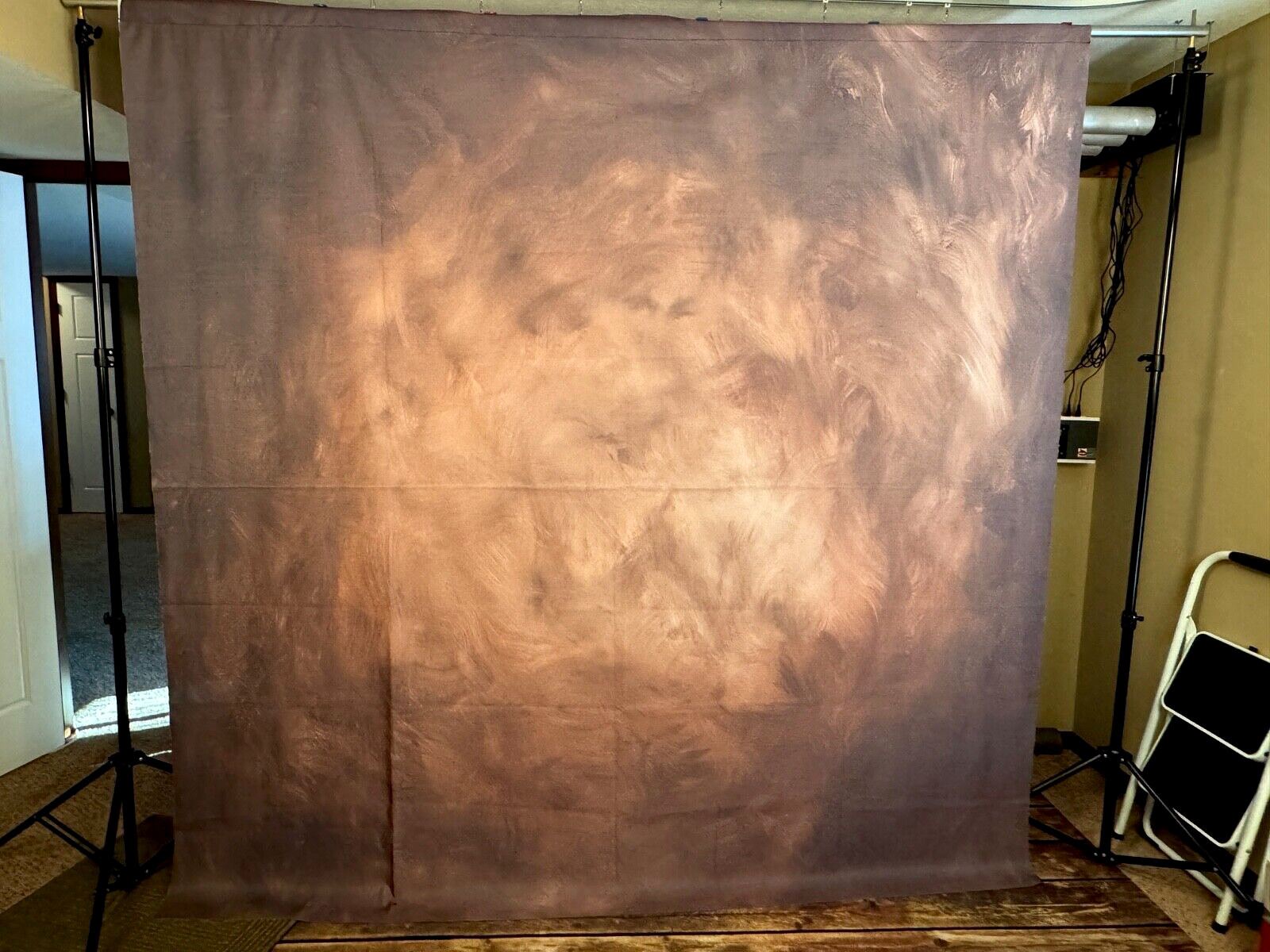 Beautiful Brown 8×8 Denny Manufacturing Freedom Cloth Backdrop #2459